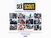 The Sex Scout